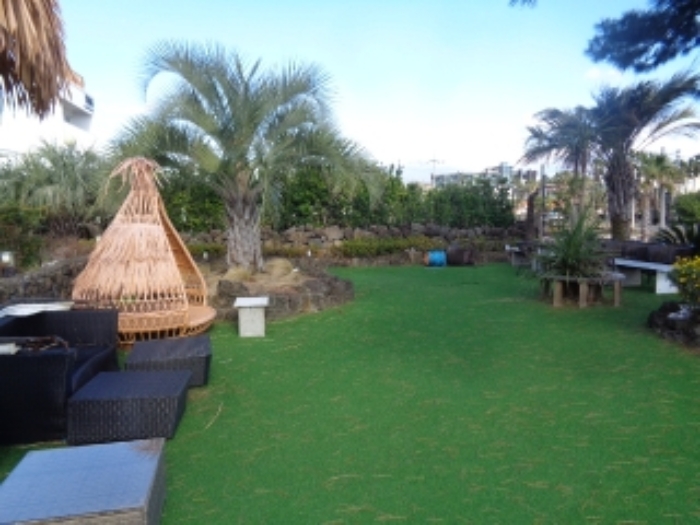 소재지1(창천리 784) 전경 사진