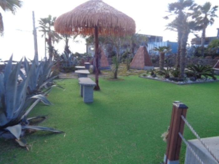 소재지1(창천리 784) 전경 사진