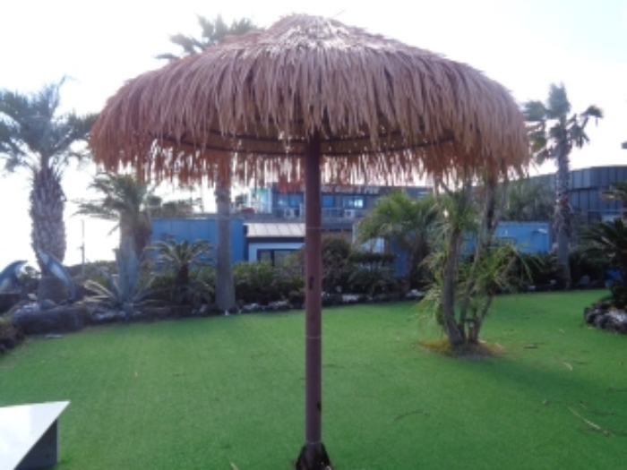 소재지1(창천리 784) 전경 사진