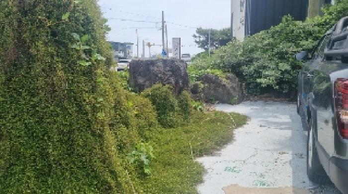 소재지1(오조리 13-2) 전경5