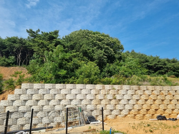 본건 토지 북측 자연림 상태 부분