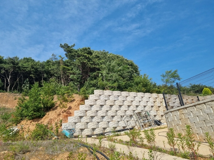 본건 토지 북측 자연림 상태 부분