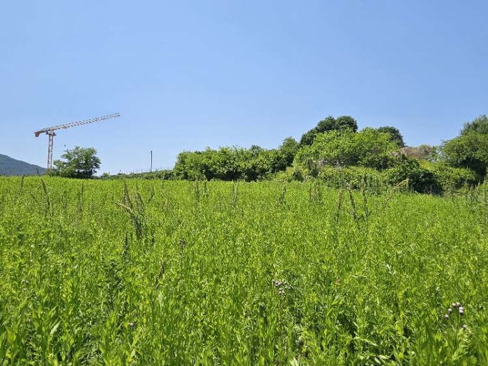 제시 목록 4 전경