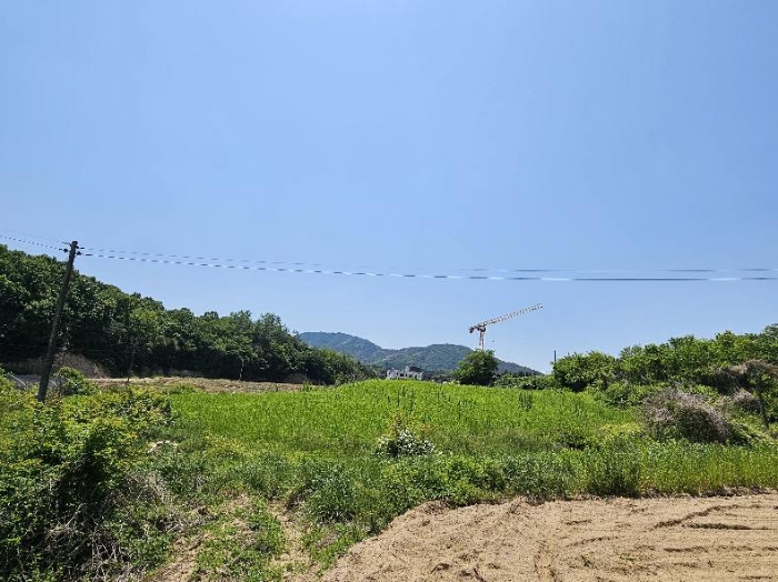 제시 목록 2 전경