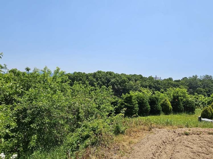 제시 목록 3 전경