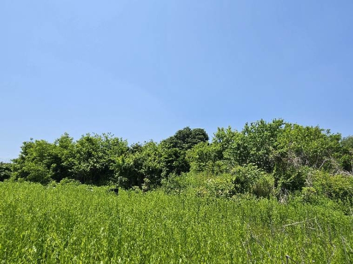 제시 목록 3 전경