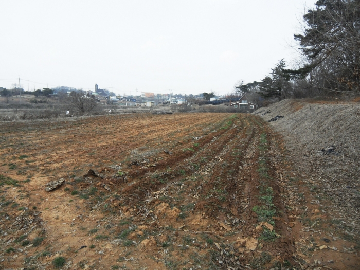 본건 기호 1, 2, 4, 5 (남서측에서)