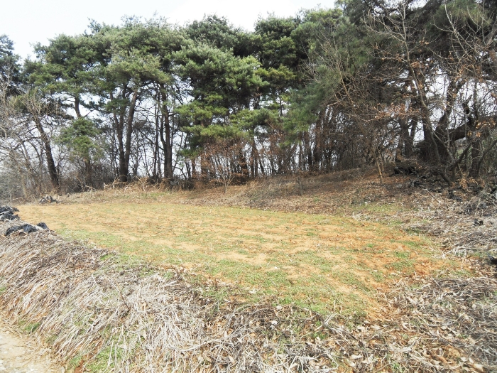 본건 기호 8 (남서측 전 부분)