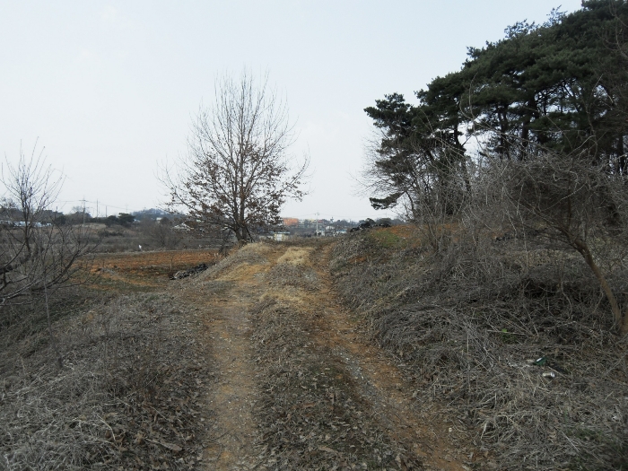 본건 남측 접근로