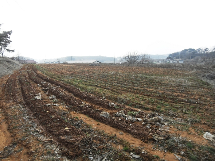 본건 기호 1, 2, 4, 5 (북서측에서)