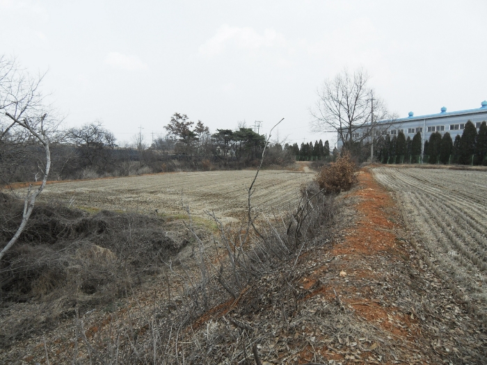 본건 기호 4 및 6