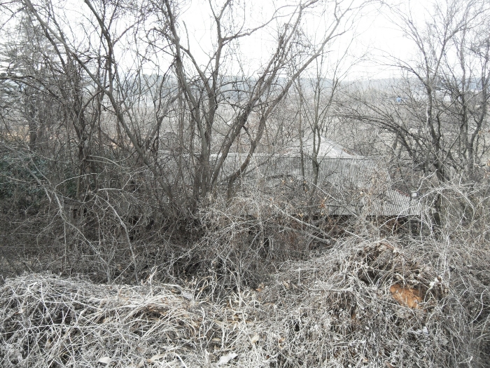 본건 기호 3, 7 지상 제시외