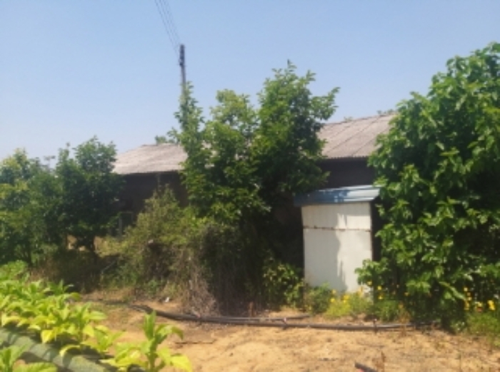 3.목록 토지상 제시외 창고