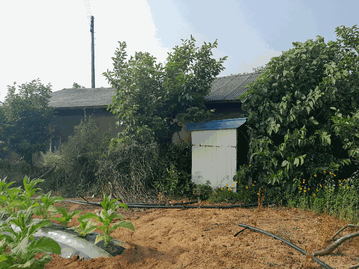 제시외 건물 ㄱ,ㄴ