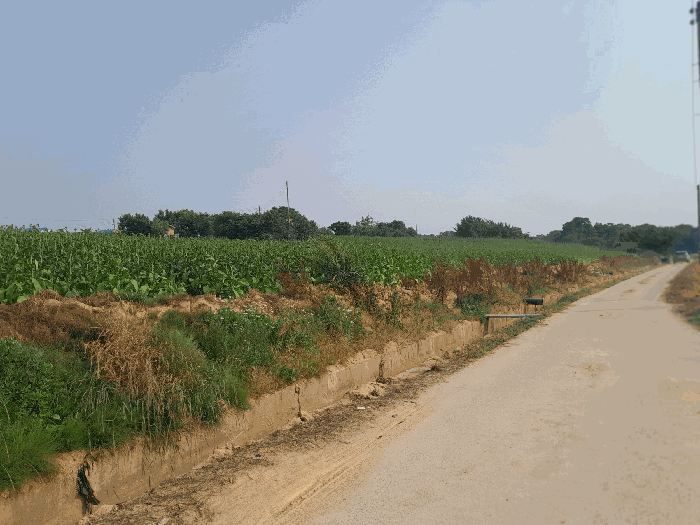 본건 전경(북측에서 촬영)