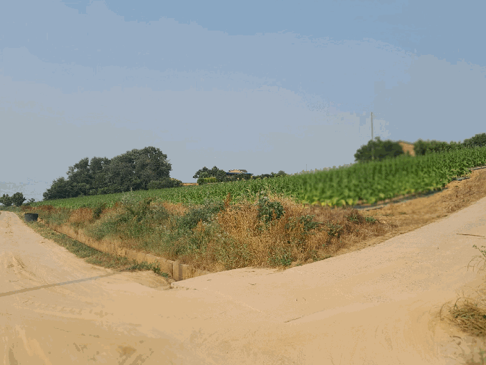 본건 전경(남서측에서 촬영)