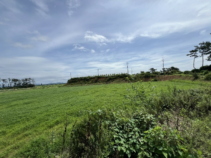 일련번호(3) 전경1