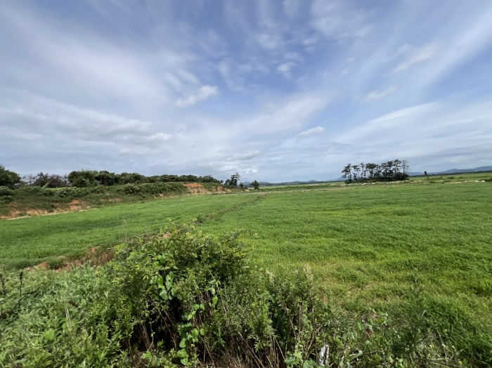 일련번호(3) 전경3