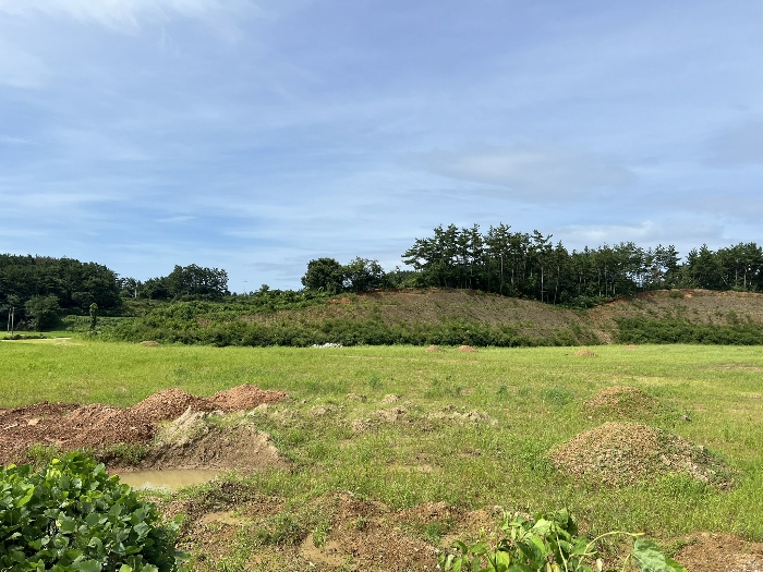 일련번호(1) 전경2