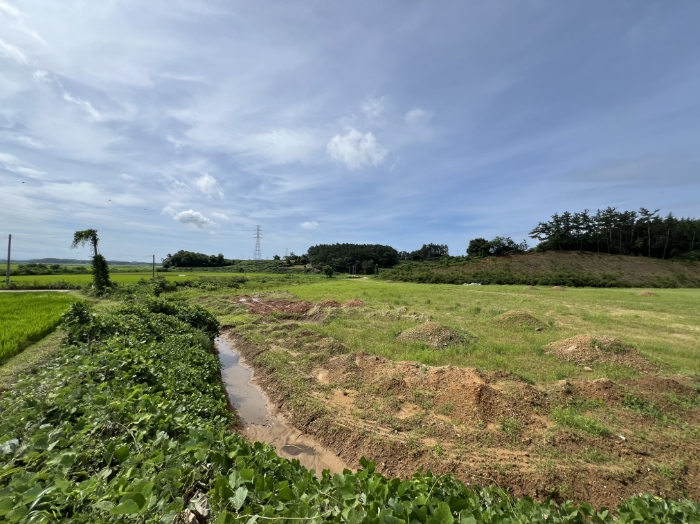 일련번호(1) 전경4