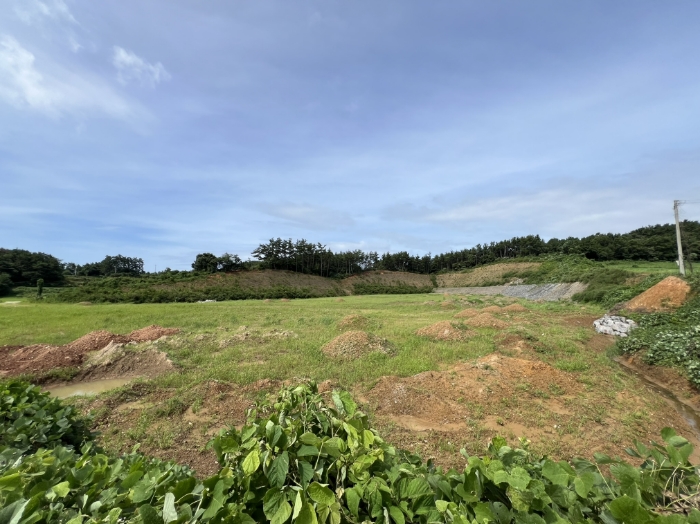 일련번호(1) 전경6