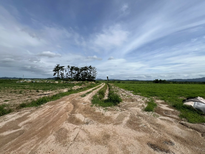 일련번호(2) 전경2