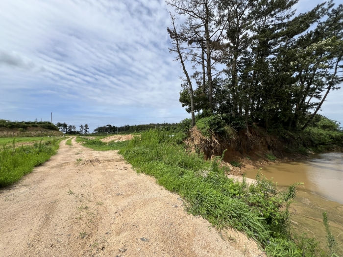 일련번호(2) 전경6