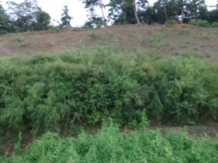 [목록 1] 남쪽 가장자리 지상의 모습