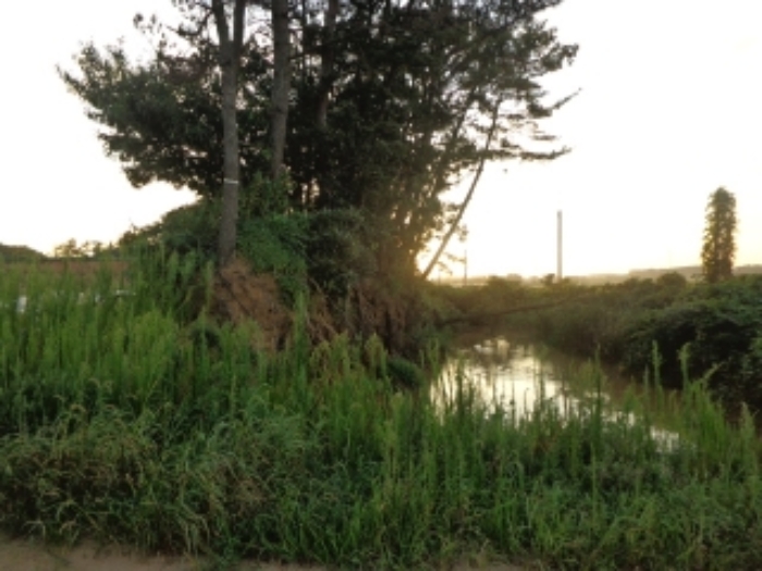 [목록 2] 중앙 부분 지상에 있는 도로에서 서쪽을 바라본 모습