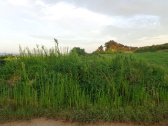 [목록 2] 중앙 부분 지상에 있는 도로에서 동쪽을 바라본 모습