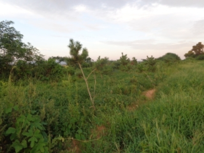 [목록 2] 동쪽 지상의 모습