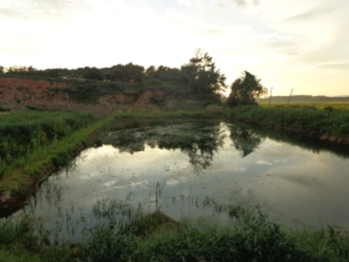 [목록 2, 3] 북서쪽 지상에 있는 물웅덩이의 모습