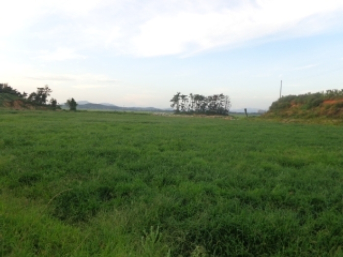 [목록 3] 남서쪽에서 서쪽 지상을 바라본 모습