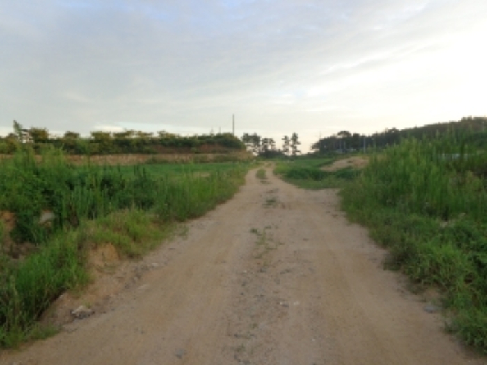 [목록 3] 중앙 부분 지상에 있는 도로의 모습