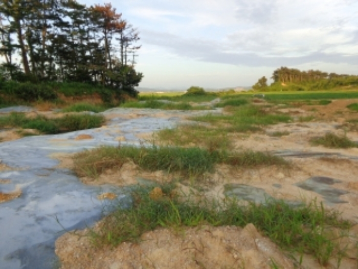 [목록 3] 북서쪽 지상의 모습(미상의 것이 매립되어 있음)