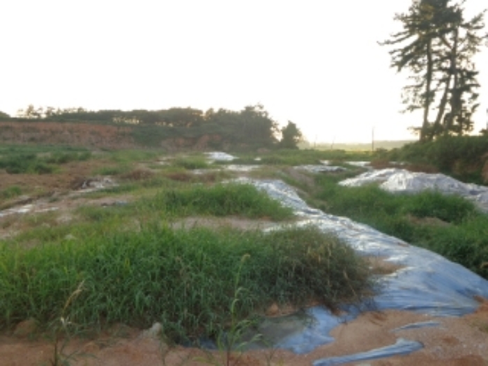 [목록 3] 북쪽 중앙 부분 지상에 있는 도로에서 북서쪽 지상을 바라본 모습