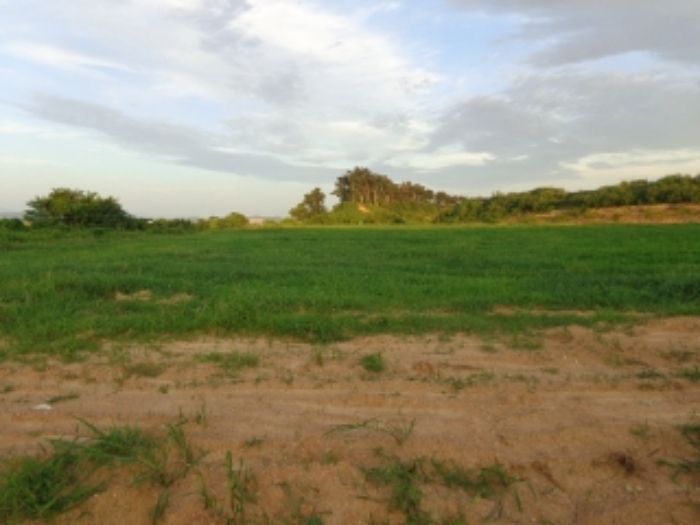 [목록 3] 북쪽 중앙 부분 지상에 있는 도로에서 동쪽 지상을 바라본 모습