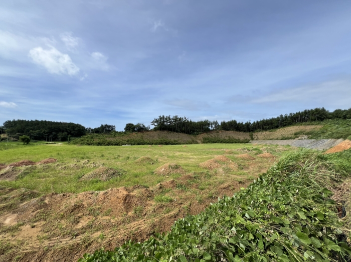 일련번호(1) 전경3