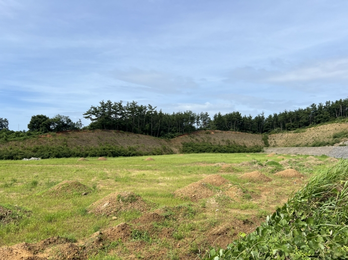 일련번호(1) 전경5