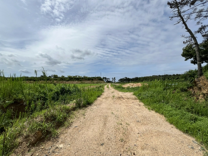 일련번호(2) 전경1