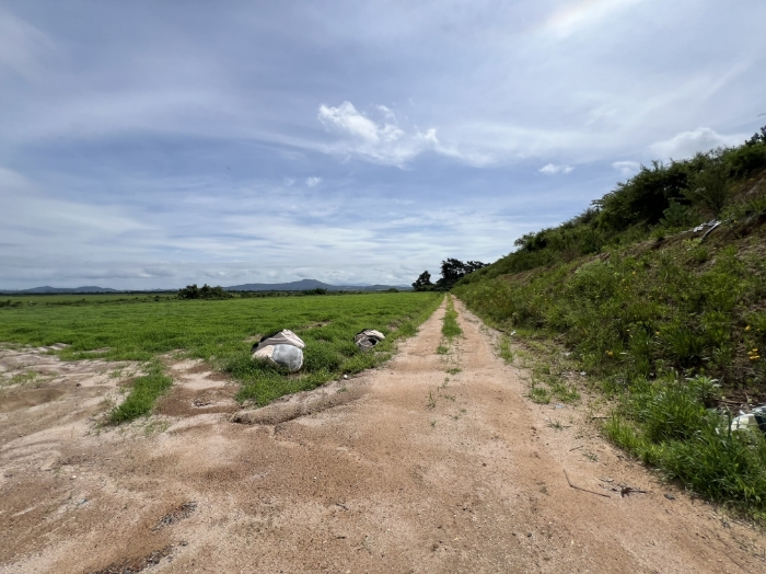 일련번호(2) 전경3