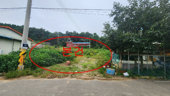 본건 및 주변전