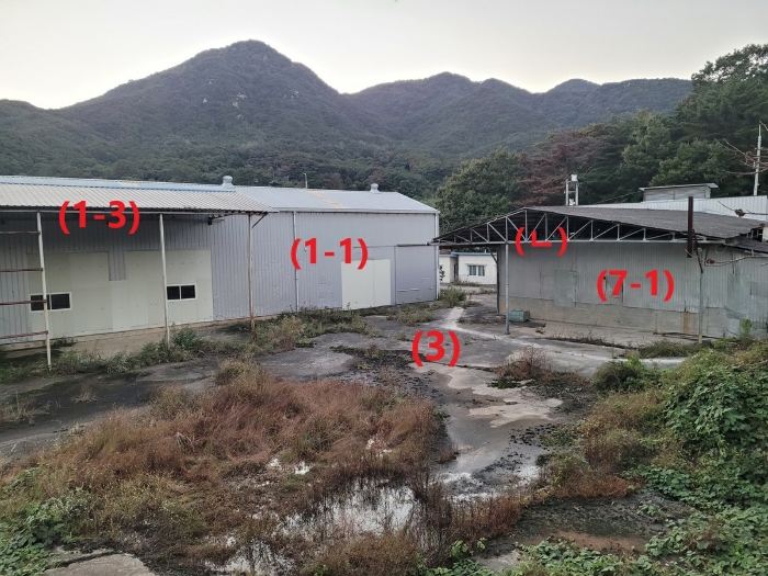 본건 토지 및 지상 건물 전경
(전경 남동측에서 촬영)