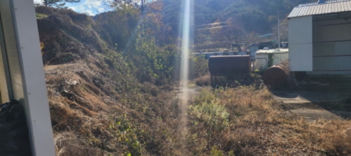 동산리 470-1 전경 - 수풀이 무성한 묵 전 임.