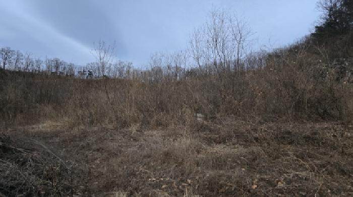 경북 칠곡군 기산면 영리 1003, 1003-1, 산63-2. 임야의 전경(개발행위 중 다시 임야화 되고 있음)