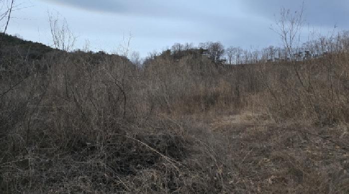 경북 칠곡군 기산면 영리 1003, 1003-1, 산63-2. 임야의 전경(개발행위 중 다시 임야화 되고 있음)