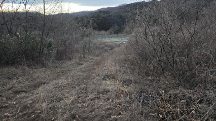 경북 칠곡군 기산면 영리 1003, 1003-1, 산63-2. 임야의 전경(개발행위 중 다시 임야화 되고 있음)