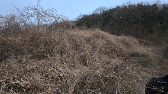 경북 칠곡군 기산면 영리 1003, 1003-1, 산63-2. 임야의 전경(개발행위 중 다시 임야화 되고 있음)