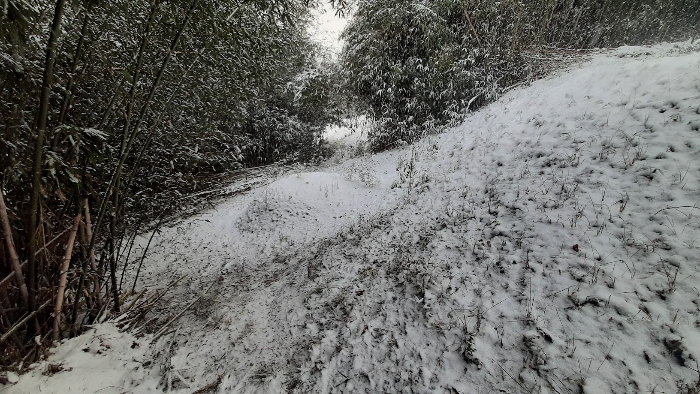 하단부 분묘 1기 모습