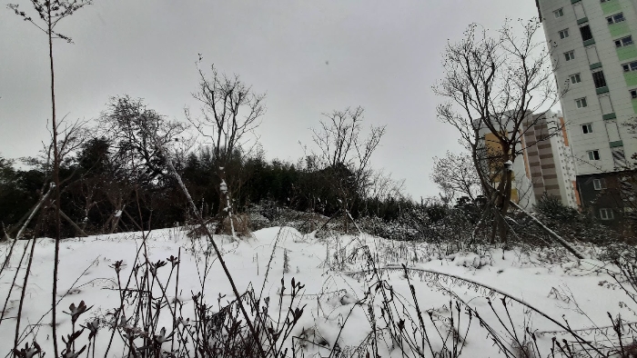 대상임야 주위환경